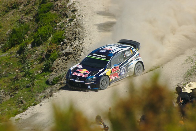 Samochód kupiony pezer Pol-Cars po rajdzie WRC